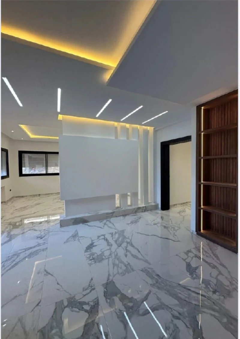 Faux plafond moderne avec lignes lumineuses intégrées